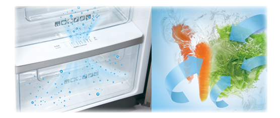 BC-350 SINGLE DOOR REFRIGERATOR A++
