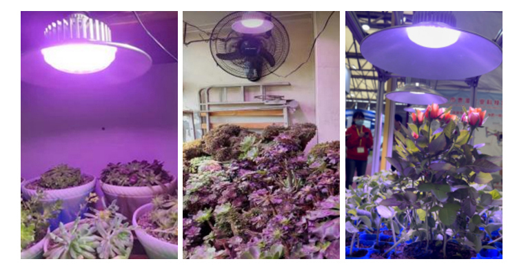 Samsung LED Type Full Spectrum Grow Light for Greenhouse 36w 45w 50w E27