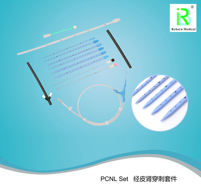 IIA PCNL Dilator Set Percutaneous Nephrostomy Kit Dilatation Renal Amplatz
