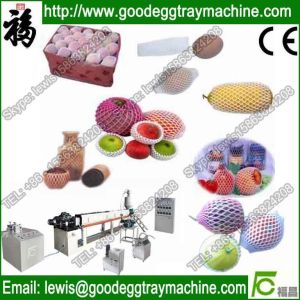 EPE Foam Fruit Net Extrusion machine(best in China)