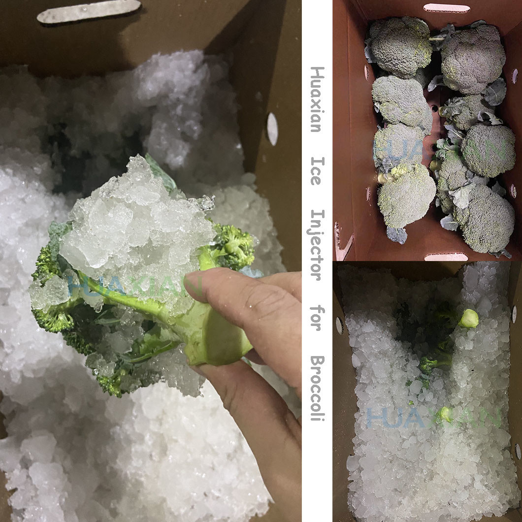 Broccoli Ice Injector Stainless Steel Manual Operation With Ice Machine