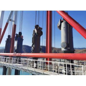 Offshore Bvem Intelligent Bottom Feed Vibroflotation Stone Column Pile