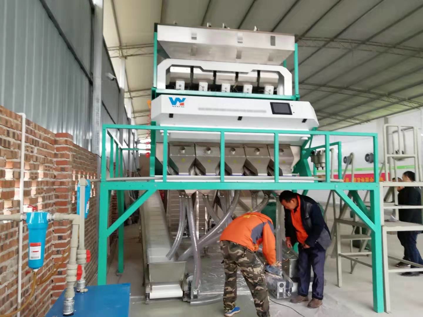 High Accuracy CCD Optical Multifunction Garlic Color Separator Popular In Brazil