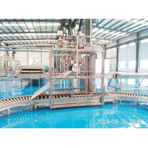 PLC Control Ginger 2t/H Double Head Aseptic Bag Filler