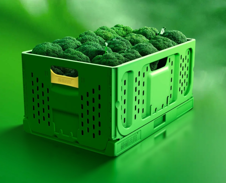 Customized Logo Green Collapsible Plastic Mesh Storage Crate for Vegetables and Fruits