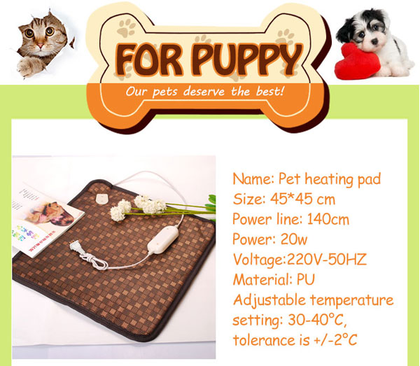 heated cat beds