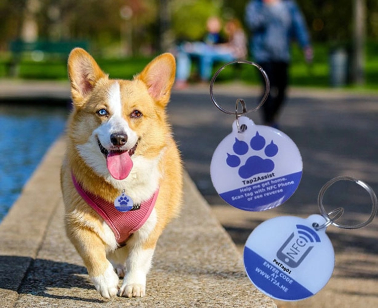 QR Code RFID Dog Tag NFC For Pet Anti Lost 213 Epoxy Waterproof