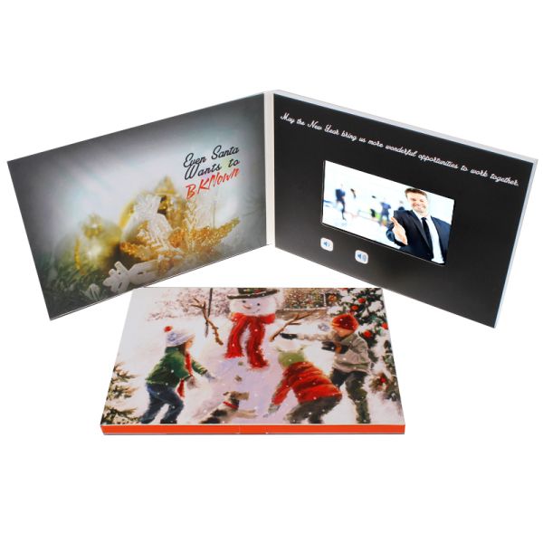 Quality Art Collectible Electronic Screen Reader with Flash 128MB-16GB Customizable Performance for sale