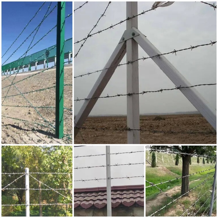 1.6mm Wire Diameter Security Galvanized Barbed Wire Durable Fencing for Ultimate Protection
