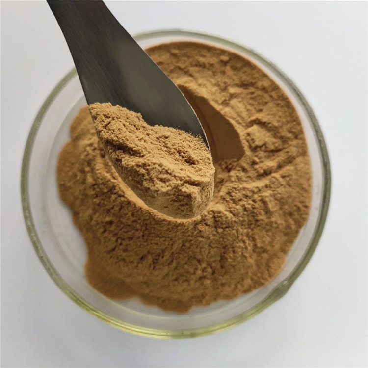 Hairyvein Agrimonia Herb Extract For Hemostasis