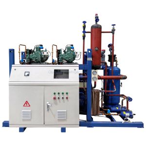 Refrigeration Compressor Unit Featuring Both Digital And Analog Control