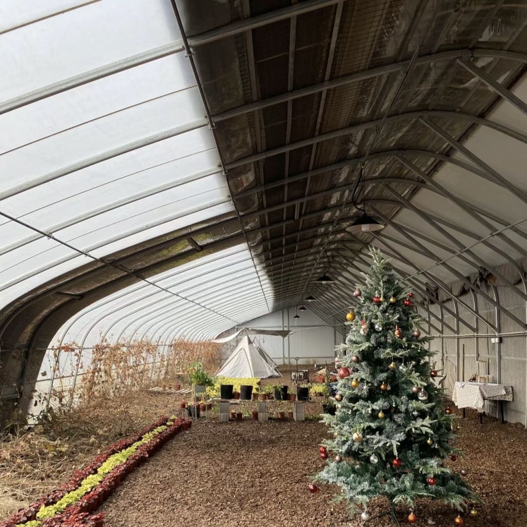 China Origin Flower Planting Drip Irrigation Sunlight Greenhouse