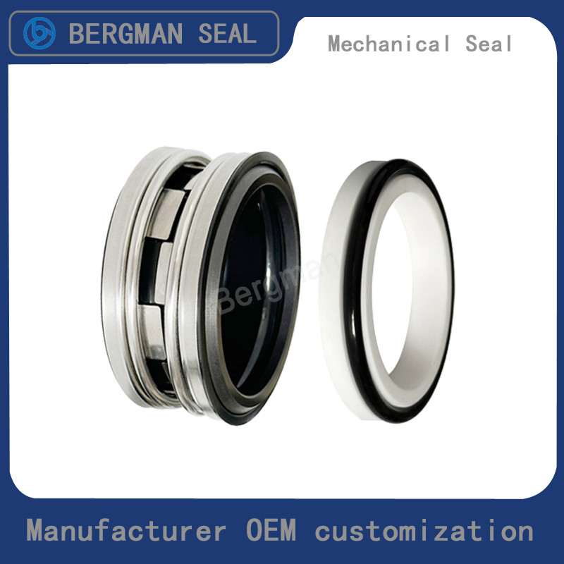 BERGMAN Replaces John Crane 2100-S 12mm-100mm G60 G4 G6 G9 G13 G16 BS Bo BP Pump Mechanical Seal