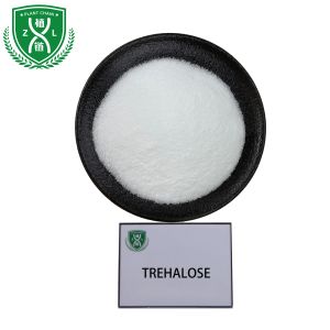  Moisturizing Agent Stabilizer And Protector Raw Material Trehalose Manufactures