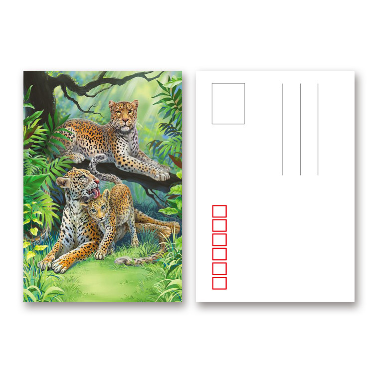 2.5*3.5 Inch Animal Theme Lenticular 3D Poker Cards For Gifts Or Promotion