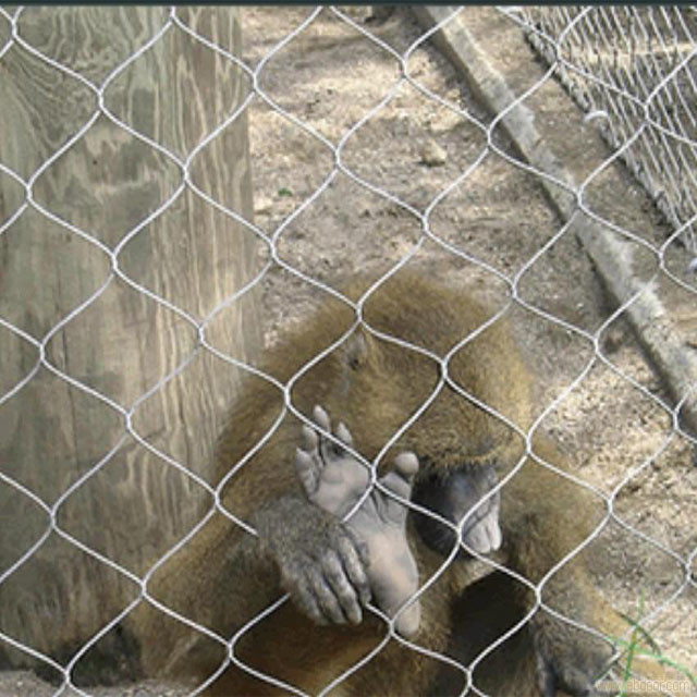 Stainless Steel Wire Rope Mesh,Inter-Woven Rope Mesh