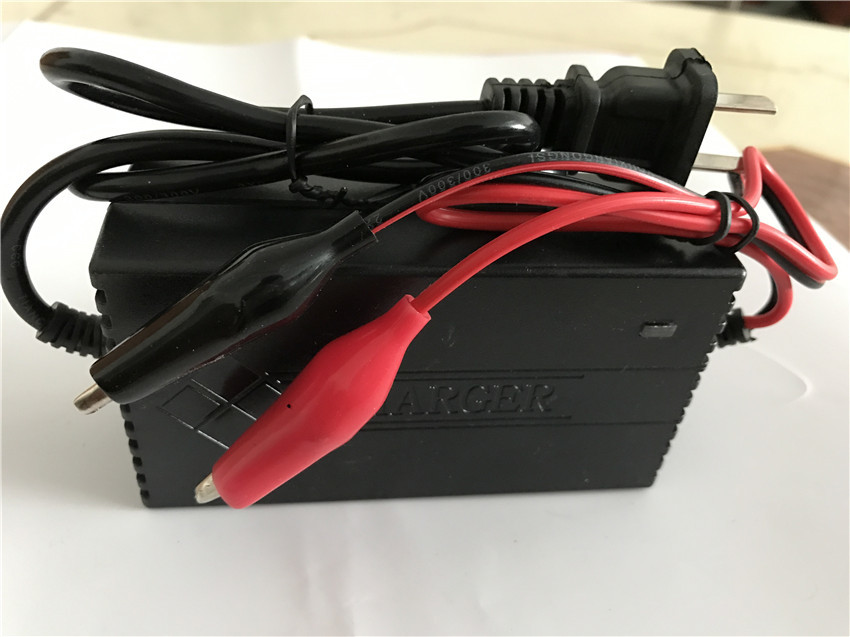 10A 6v 12v Lead Acid Battery Chargers Electric Scooter 48v Forklift Battery Charger