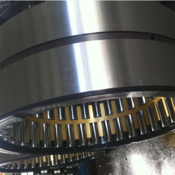 110mm 254735Q brass cage Full Complement Needle Double Row Bearing Roller