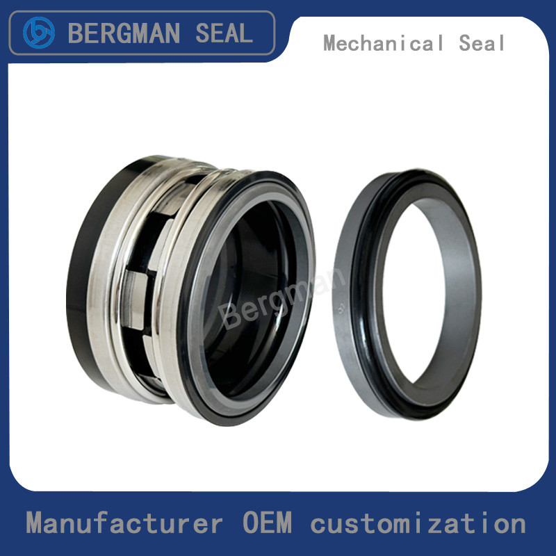 Durable BERGMAN Replaces John Crane 2100-K 12mm-100mm G60 G4 G6 G9 G13 G16 BS Bo BP Pump Mechanical Seal