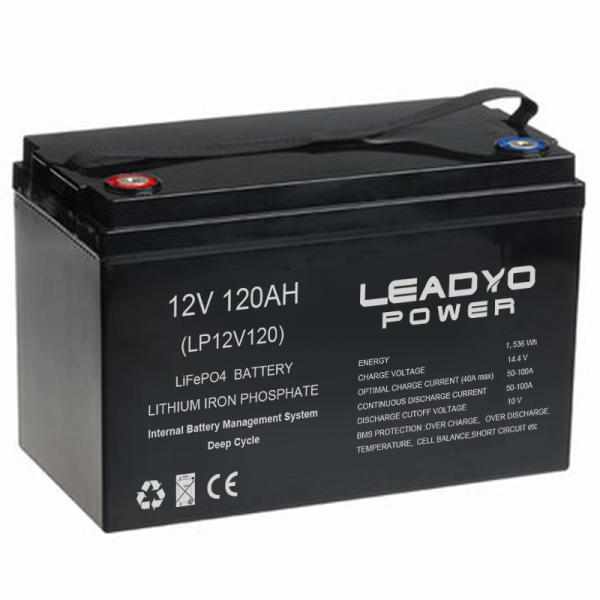 Factory Direct Supply 12V RV Camper Lifepo4 Batteries 12.8 100Ah With Group 31