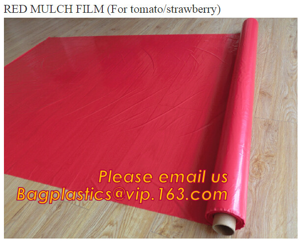 Transparent / Black / Silver / White color Plastic PE LDPE Agriculture Mulching Film,panda strawberry mulch film/black w