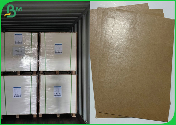 Oilproof 250g + 10g PE Coated Food Grade Brown Kraft Paper In Roll  