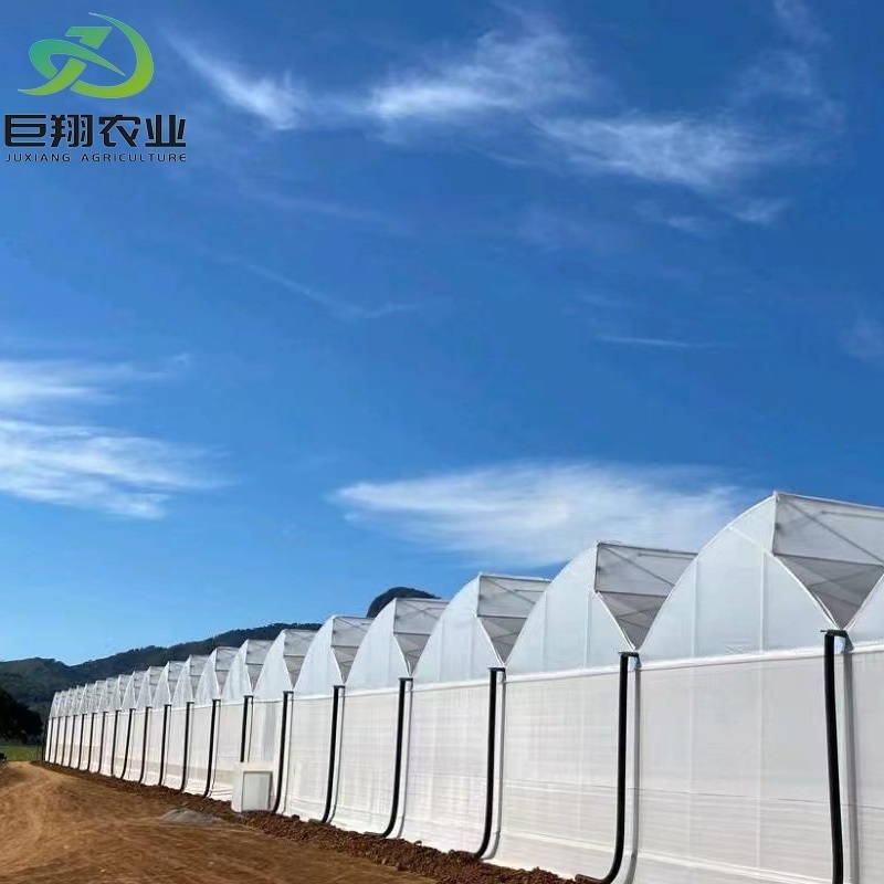 Juxiang Agriculture Equipment Plastic Film Greenhouse for Blueberry Grapes