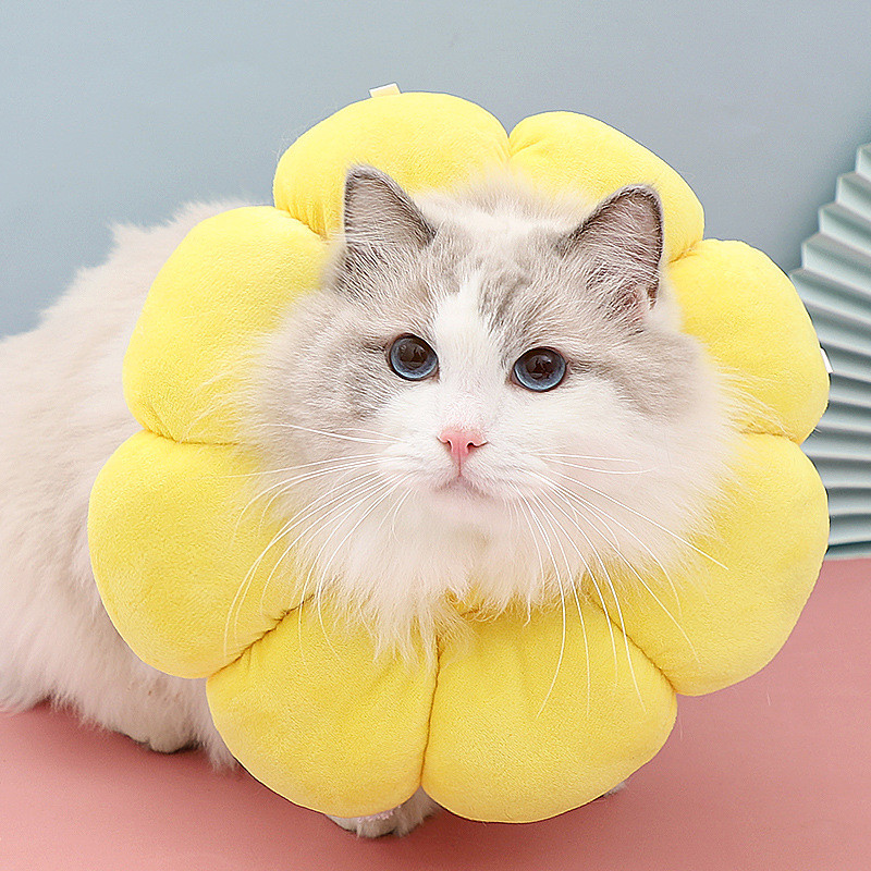 Cat Elizabeth Ring Warm Anti Licking Pet Training Collars Yellow