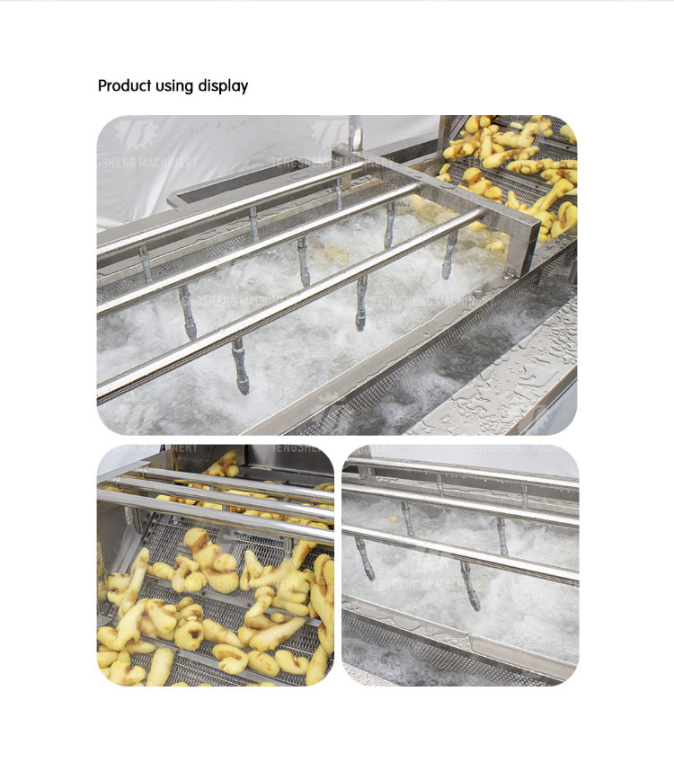 240KG SUS 304 Vegetable And Fruit Washing Machine Orange Cleaning Machine