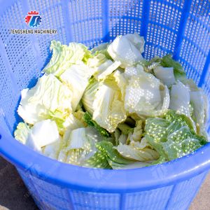 Potato Carrot Lettuce Mushrooms Bamboo shoots chili Spinach Passion Fruit