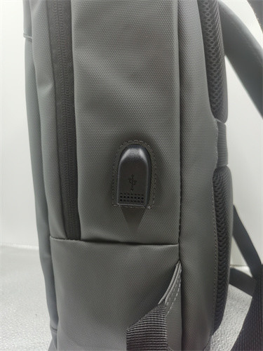 15.1 Inch Laptop Compartment Custom Laptop Backpack with Soft Handle