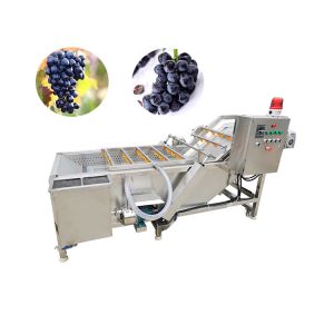 tomato paste strawberry jam making machine bubble washer bubbling washing