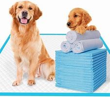  SAP Pets At Home Training Pads Super Absorbent Washable Wee Wee Pads Manufactures