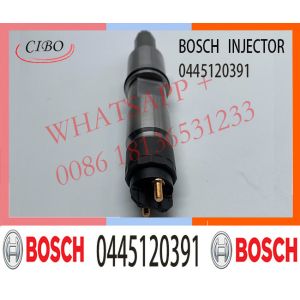 0445120391 Common Rail Fuel Diesel Injector 612630090055 For Weichai WP10 Engine