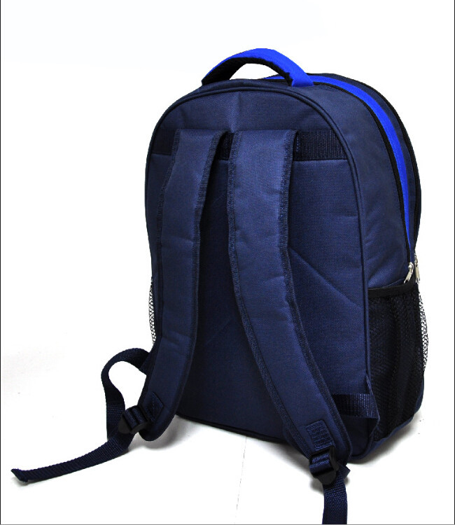 College Student Travel School Bag , Travel Backpack Daypack With Laptop Compartment