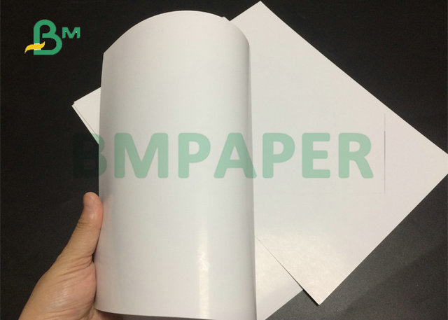 90% Brightness 12PT 14PT C2s Cover Paper In 28 x 40inch and 24 x 36inch 