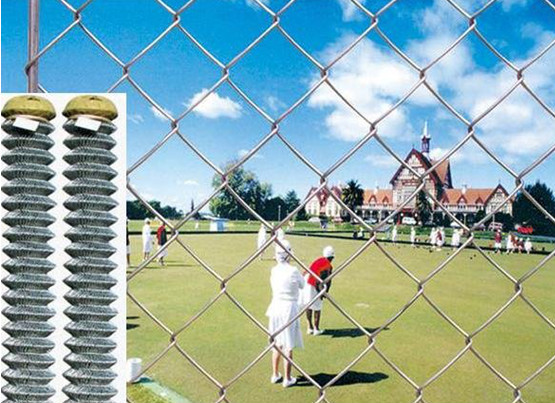 Alibaba china cheap galvanized chain link fence for sale ( diamond wire mesh)