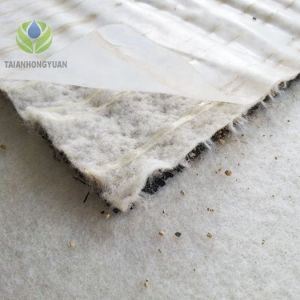 High Density Polyethylene Coating Bentonite Geosynthetic Clay Liner Modern