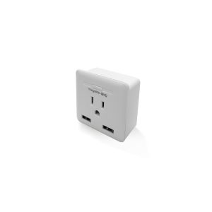 Smart Plug with Dual USB US Type