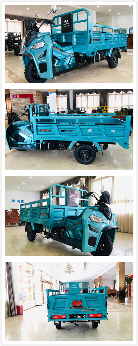 250CC Motorized Cargo Tricycle with 3 Wheel Motorcycle Trike Gasoline from Chinese