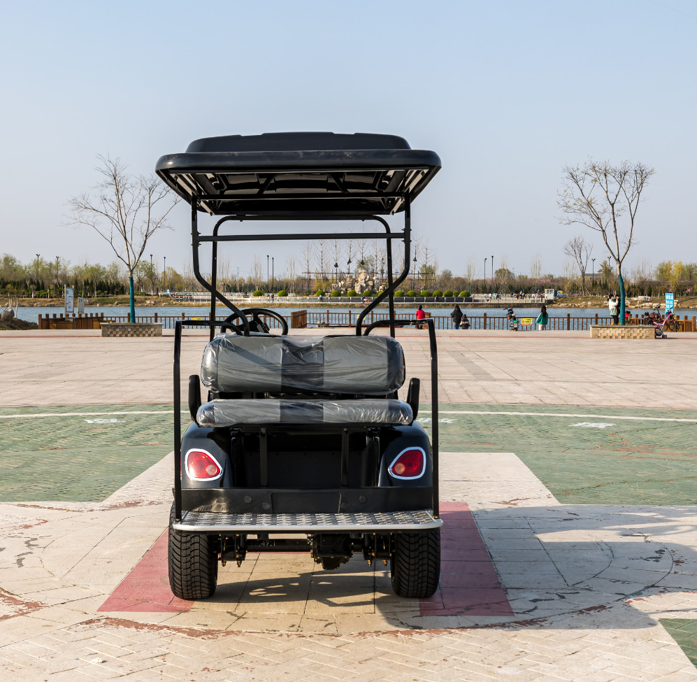 Customizable Rechargeable High-end Electric Golf Buggy CE Approved Electric Golf Cart