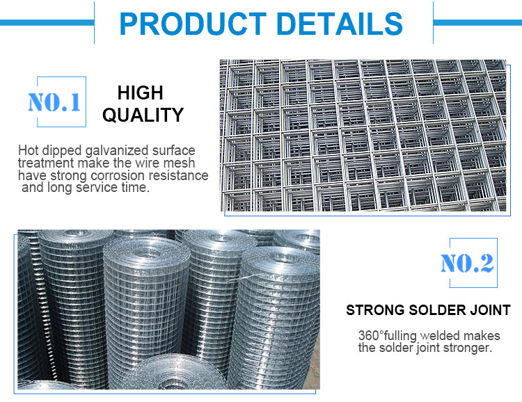 Welded Wire Mesh Fence Roll Bird Cage Weld Iron Wire Aviary Mesh