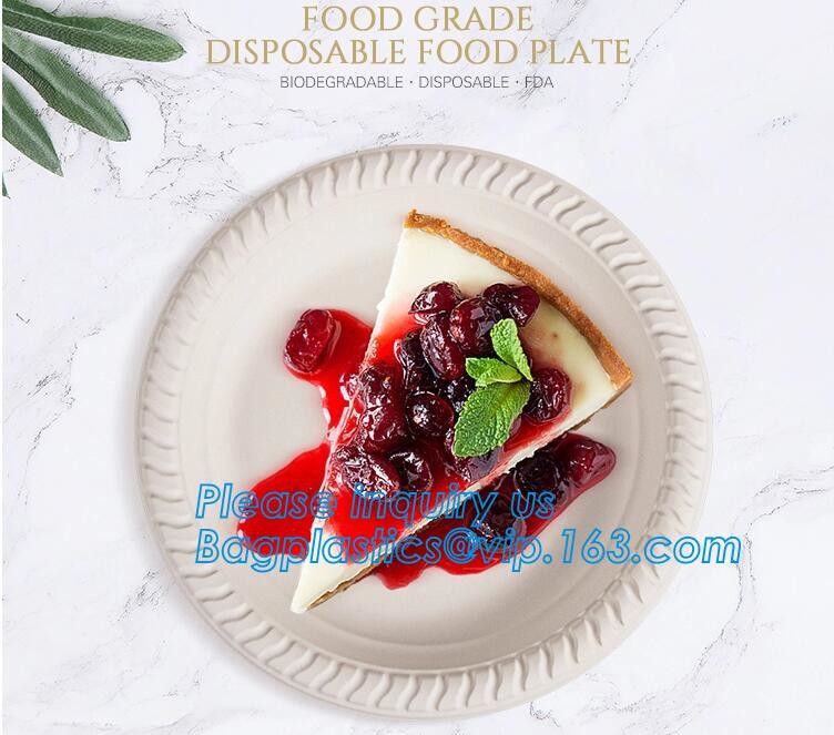 Meal Prep Containers Free Sample Bento Lunch Box Biodegradable Food Container Plastic Wheat Straw Lunch Box bagplastics
