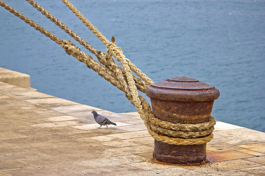 Wind Resistance Mooring Bollards Corrosion Resistance Pier Post for Cargo Ship Terminals