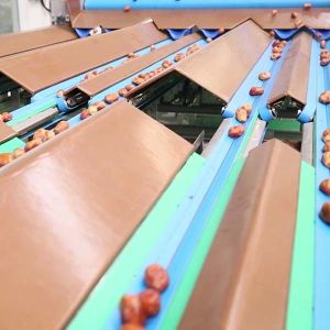 External Defect Detection 1.4 Tons per Hour 6-Lane Palm Dates Sorting Machine