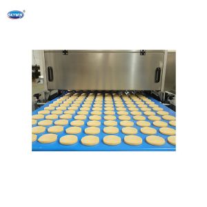 Skywin Fully Automatic Soft Biscuit Making Machine Cookies Making Line