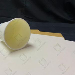  Lightweight Clay Composite Paperboard For Durable Disposable Cups Manufactures