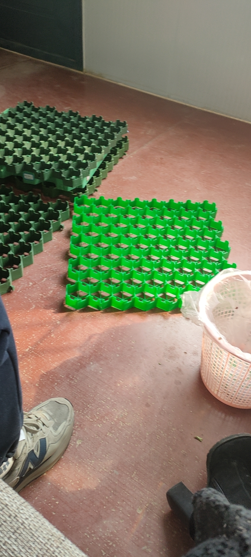 Modern Design Steel Plastic Geogrid for Railway Surface Enhance Road Surface Resistance