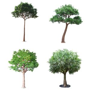  Handmake HAIHONG 350cm Artificial Foliage Tree With Fiber Glass Trunk Manufactures