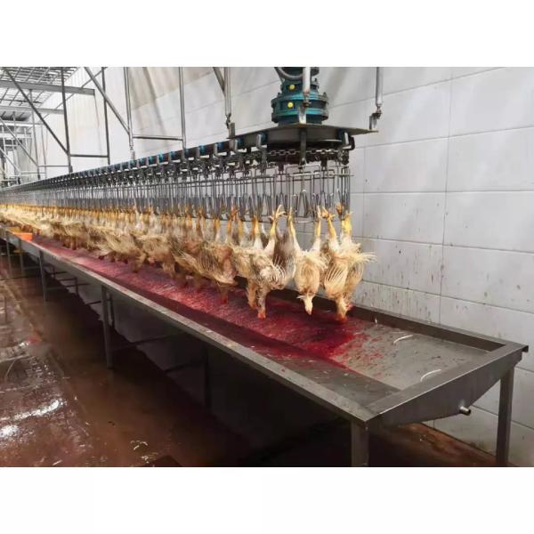 2480*1340*1480mm Poultry Slaughtering Line CE Certificate Chicken Feather